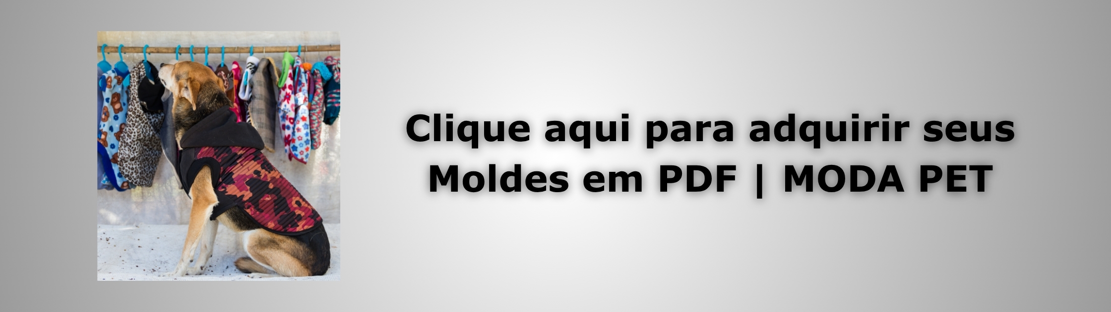 Moldes em PDF Moda Pet Banner de Vendas